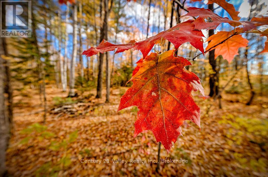 0 Rocky Point Drive, Bonnechere Valley, Ontario  K0J 1X0 - Photo 9 - X12498298