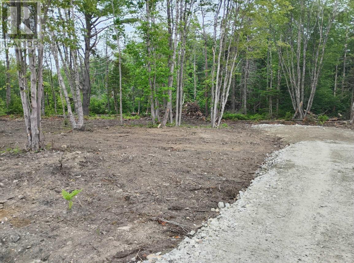 Gavel Road, Gavelton, Nova Scotia  B0W 3M0 - Photo 5 - 202526845