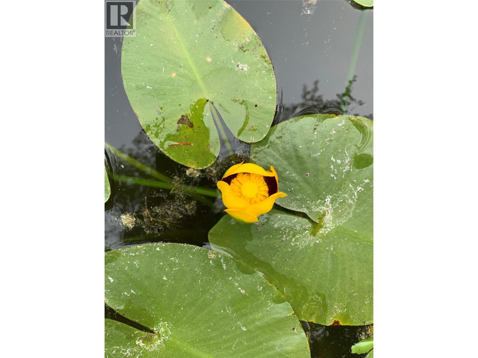 4165 Ld Ranch Road, Kimberley, British Columbia  V1A 3L4 - Photo 63 - 10363438