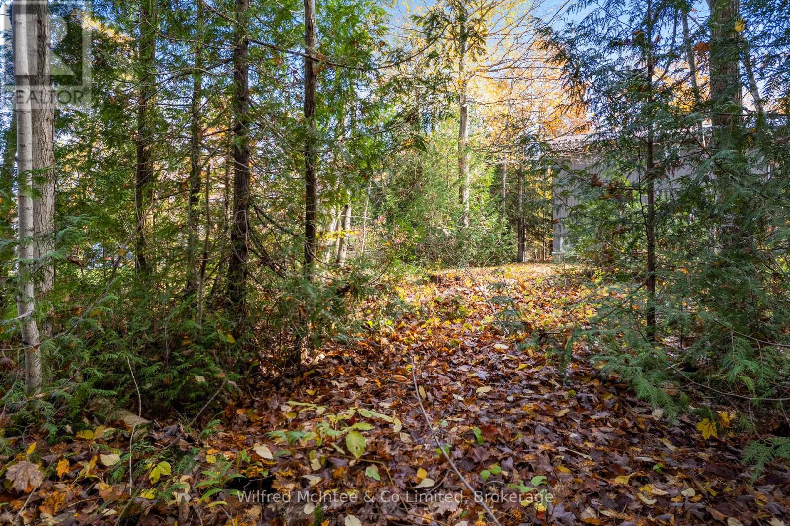 40 Rolling Hills Drive, South Bruce Peninsula, Ontario  N0H 2T0 - Photo 47 - X12498376