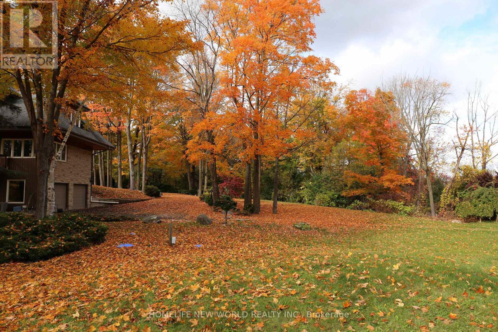 13867 Woodbine Avenue, Whitchurch-Stouffville, Ontario  L0H 1G0 - Photo 17 - N12498400