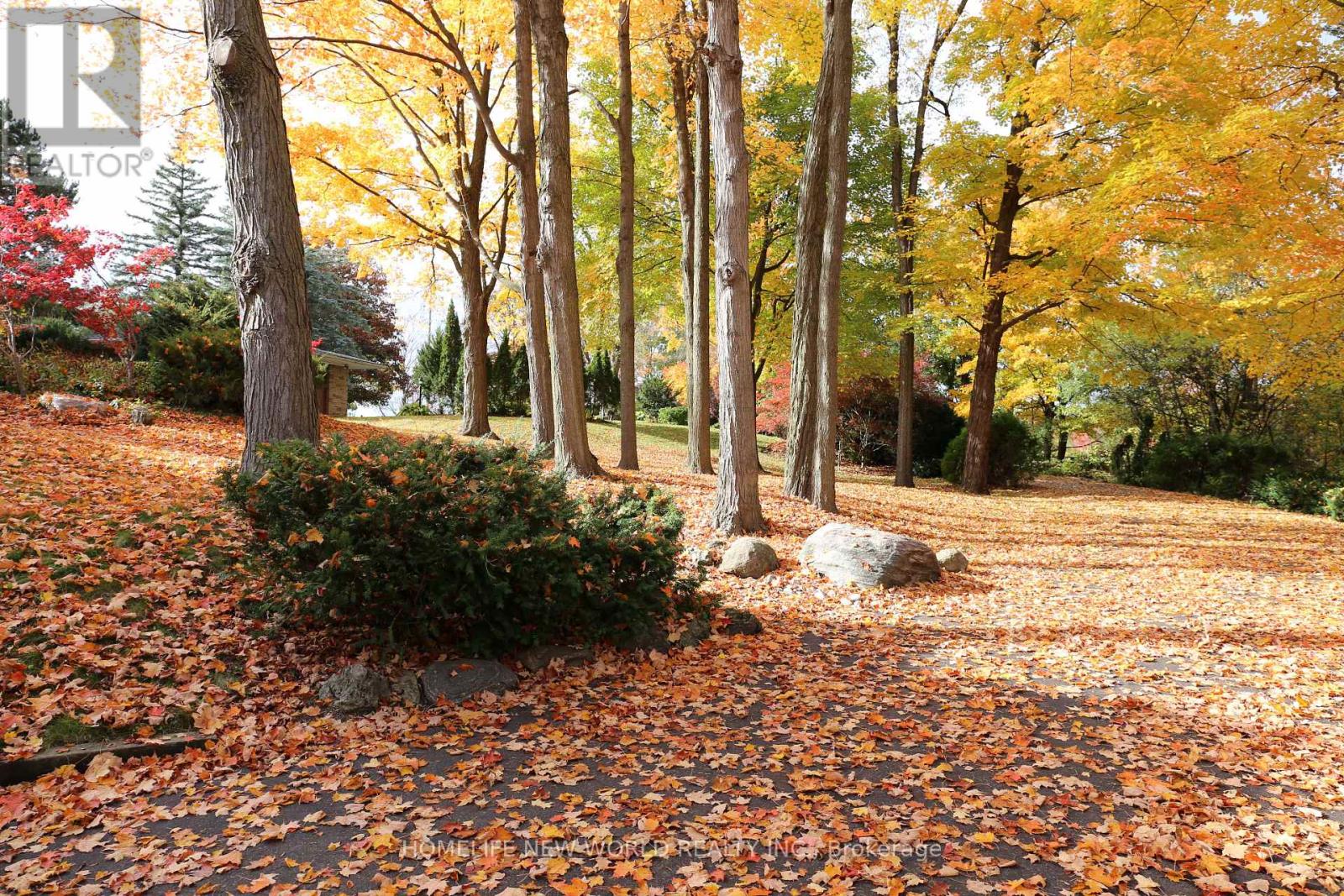 13867 Woodbine Avenue, Whitchurch-Stouffville, Ontario  L0H 1G0 - Photo 23 - N12498400