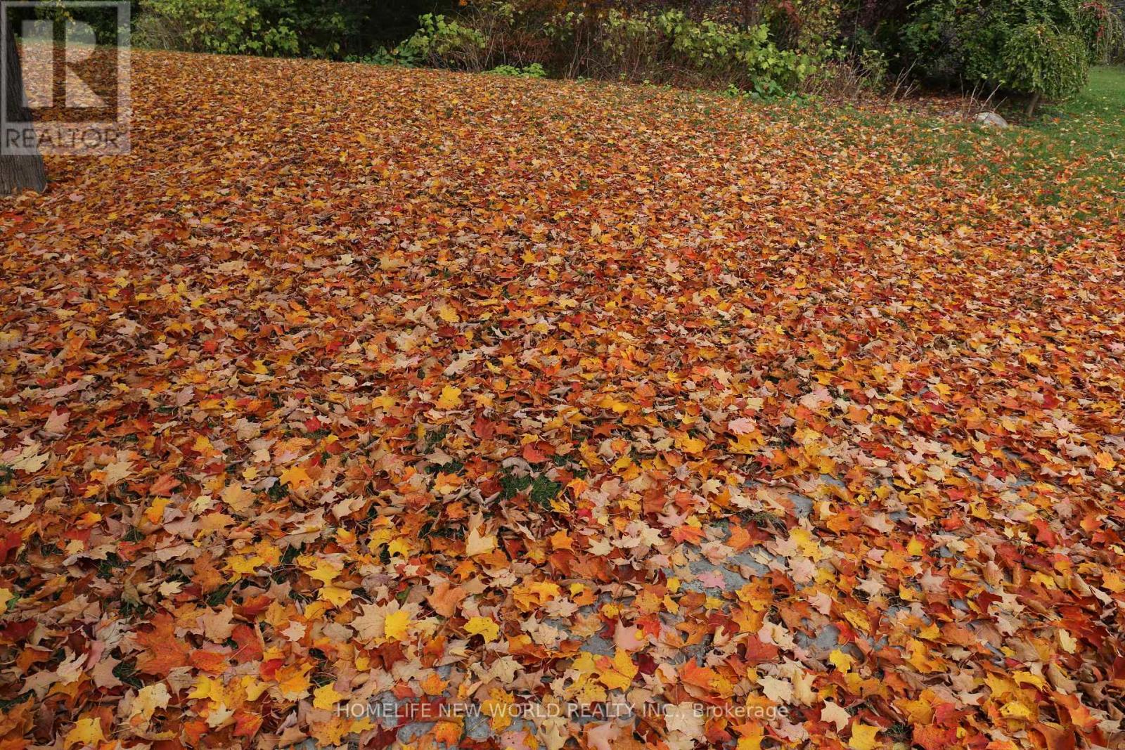 13867 Woodbine Avenue, Whitchurch-Stouffville, Ontario  L0H 1G0 - Photo 31 - N12498400