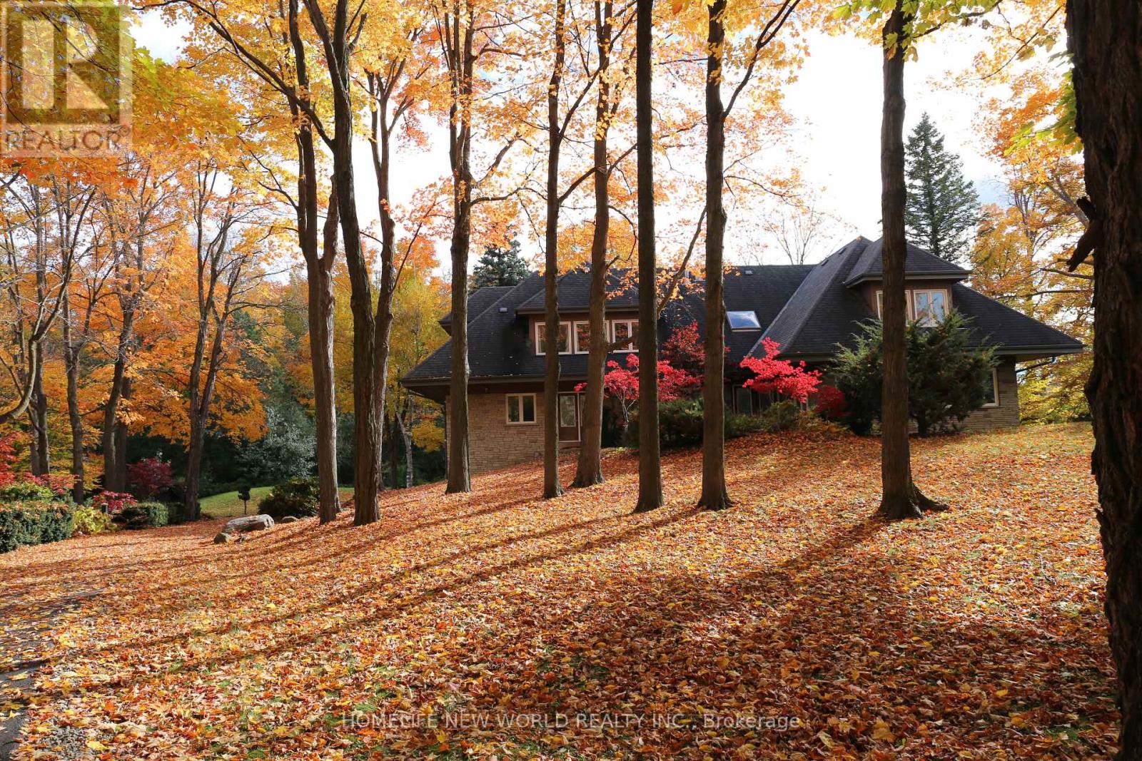 13867 Woodbine Avenue, Whitchurch-Stouffville, Ontario  L0H 1G0 - Photo 8 - N12498400