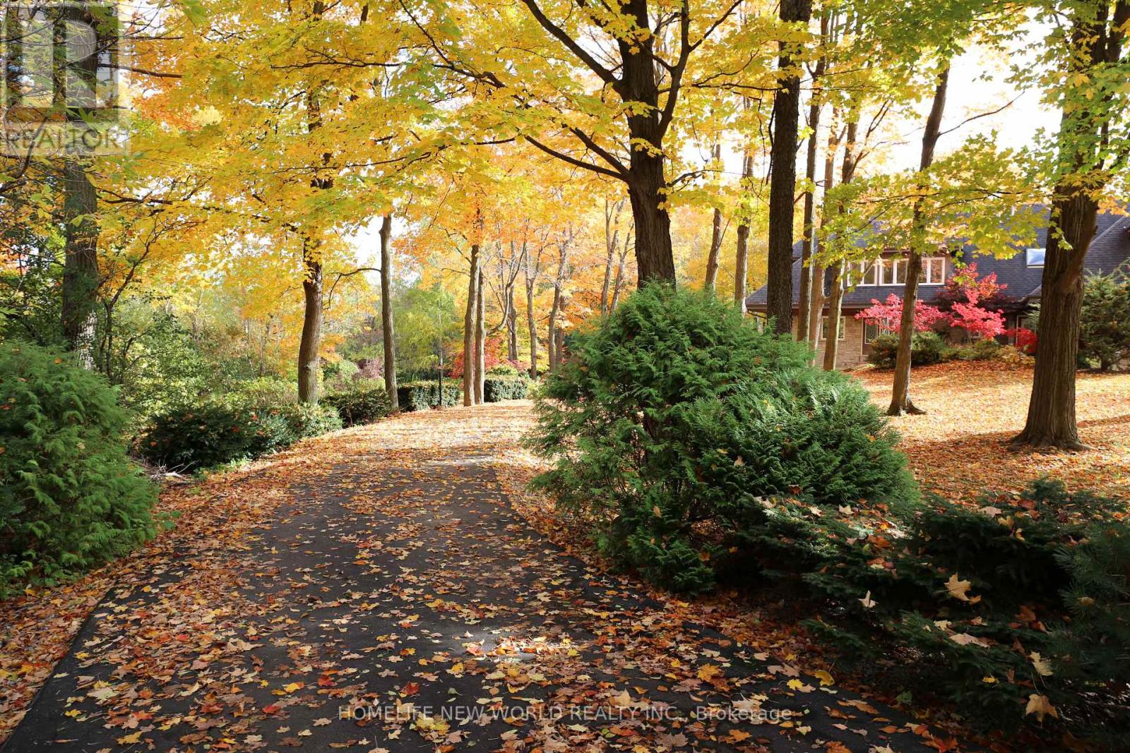 13867 Woodbine Avenue, Whitchurch-Stouffville, Ontario  L0H 1G0 - Photo 9 - N12498400