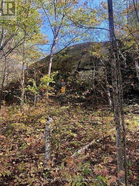 1322 Boomhauer Road, Frontenac, Ontario  K0H 1B0 - Photo 13 - X12498426