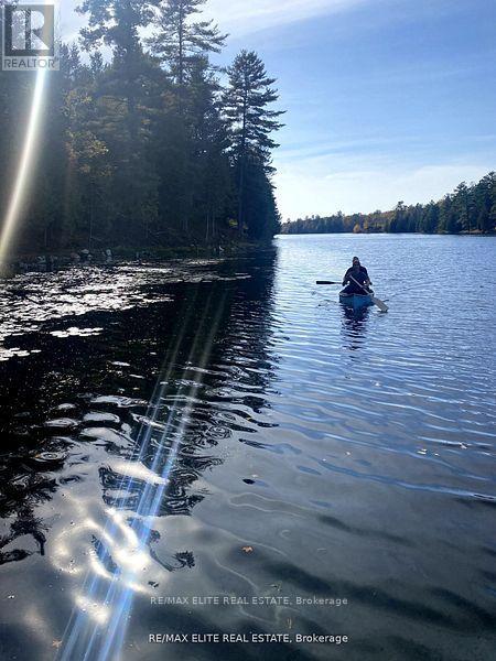 1322 Boomhauer Road, Frontenac, Ontario  K0H 1B0 - Photo 14 - X12498426