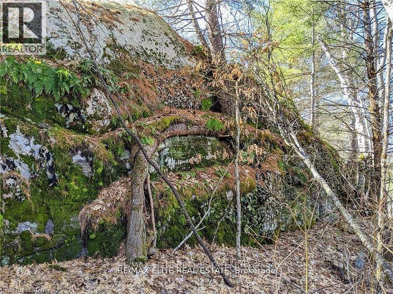 1322 Boomhauer Road, Frontenac, Ontario  K0H 1B0 - Photo 6 - X12498426