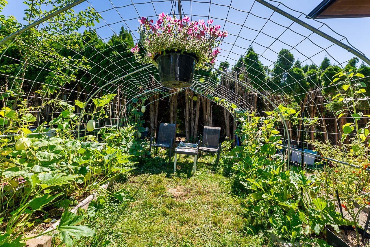 34686 St Matthews Way, Abbotsford, British Columbia  V2S 5L3 - Photo 31 - R3037868