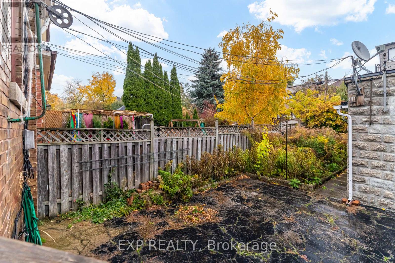 Main - 271 Lauder Avenue, Toronto, Ontario  M6E 3H5 - Photo 16 - C12498502