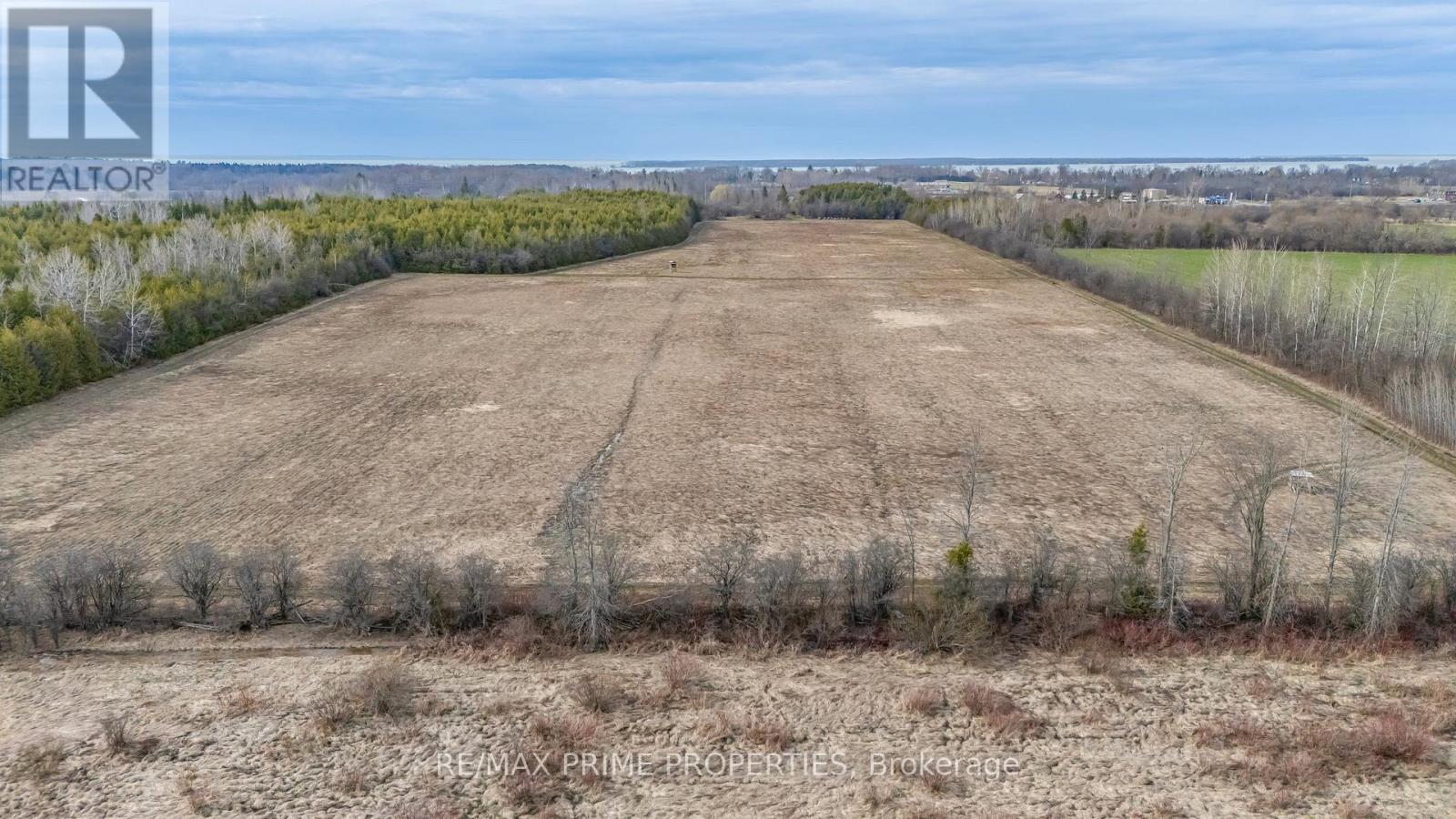28171 Highway 48 Acres, Georgina, Ontario  L0E 1R0 - Photo 12 - N12498566