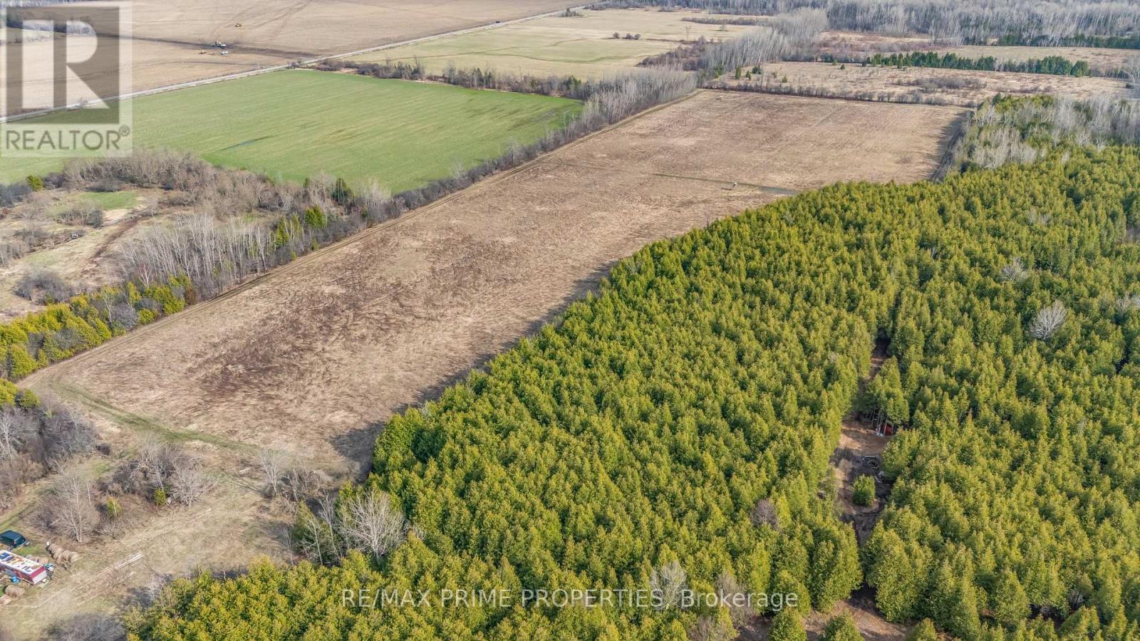 28171 Highway 48 Acres, Georgina, Ontario  L0E 1R0 - Photo 15 - N12498566
