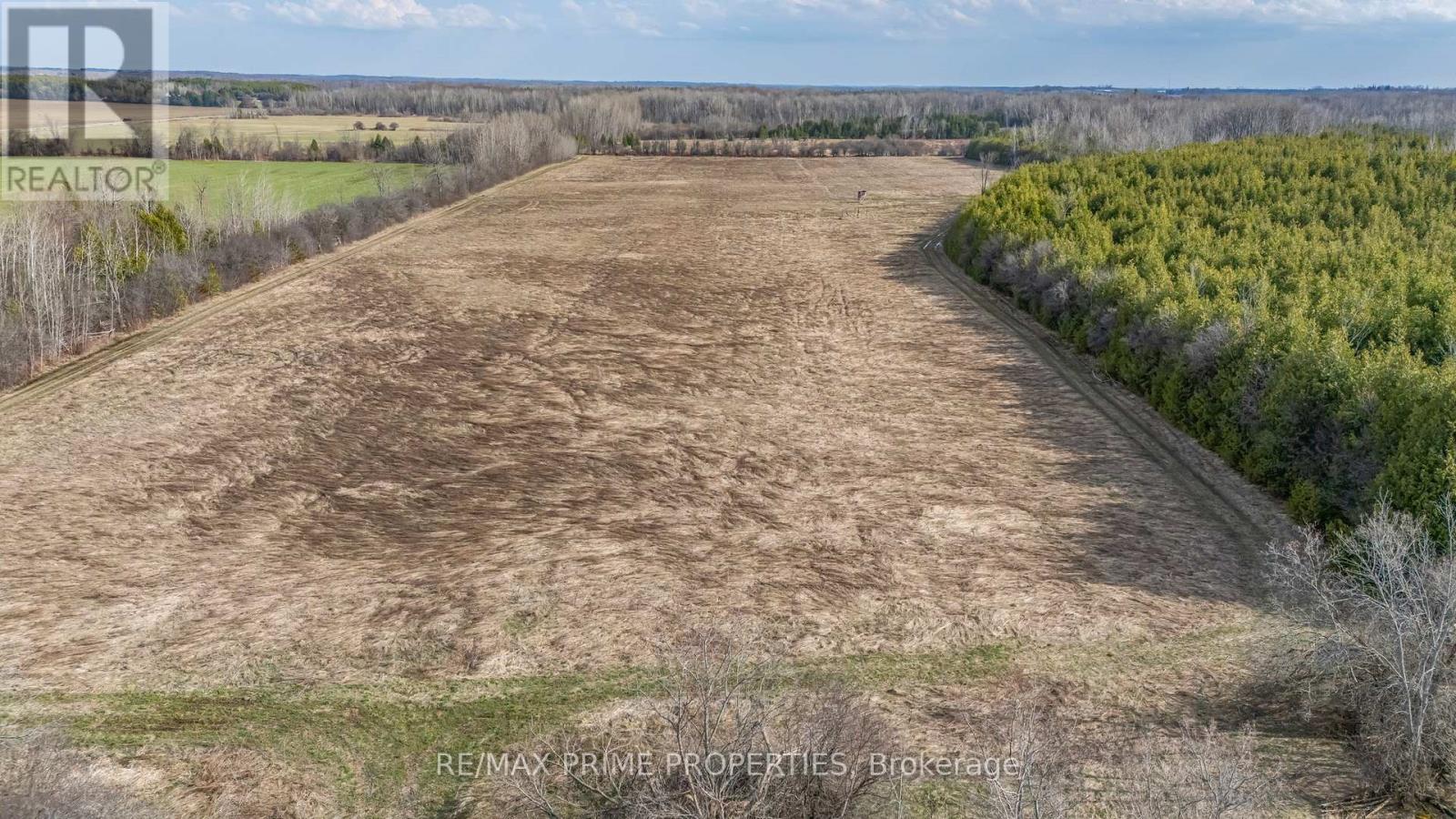 28171 Highway 48 Acres, Georgina, Ontario  L0E 1R0 - Photo 17 - N12498566