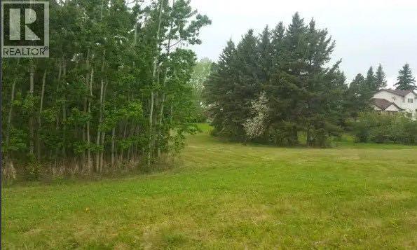 602, 606, 610, 614, 618 5 Avenue, Elnora, Alberta  T0M 0Y0 - Photo 4 - A2161795