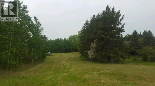 602, 606, 610, 614, 618 5 Avenue, Elnora, Alberta  T0M 0Y0 - Photo 3 - A2161795