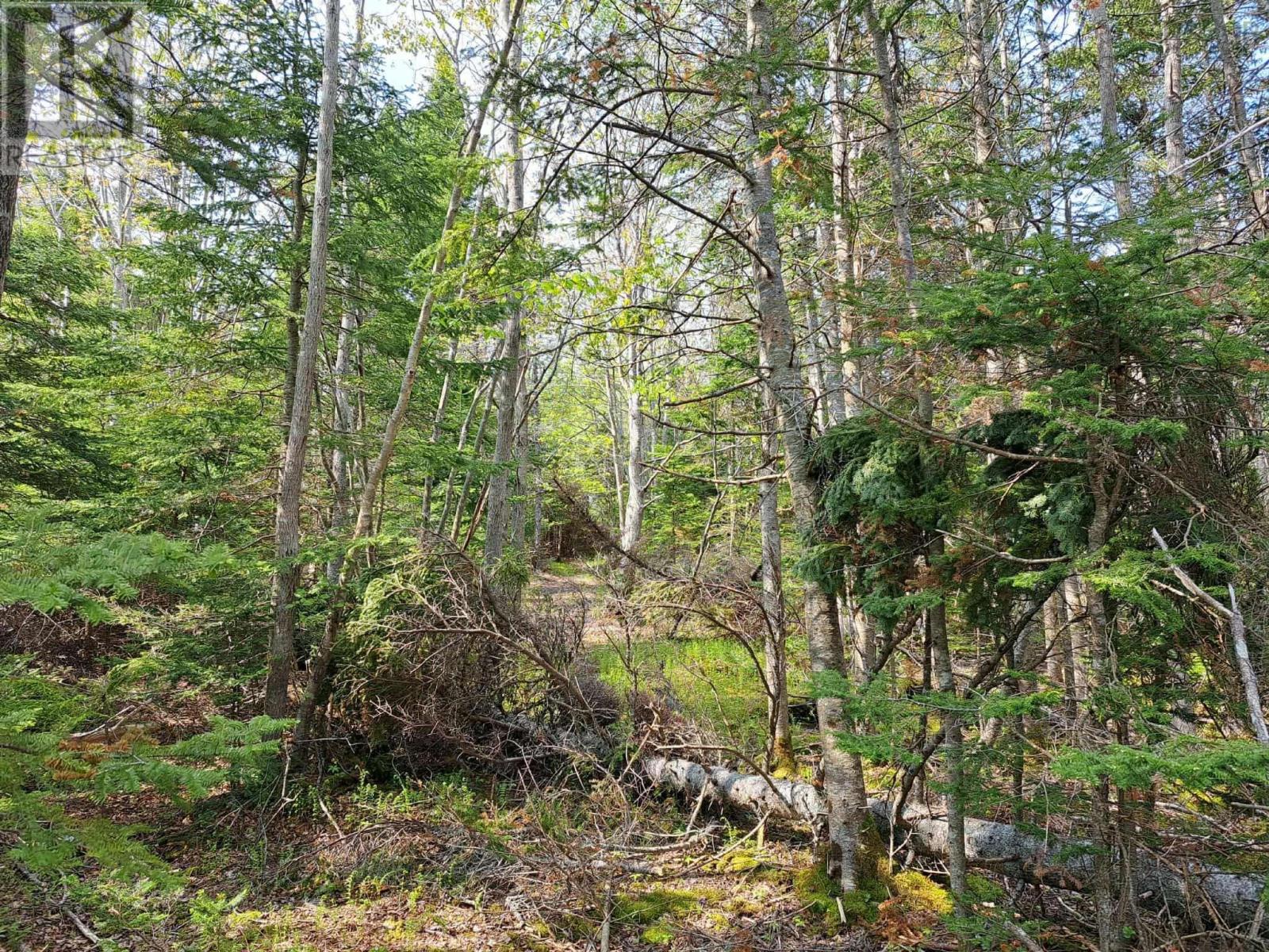 1165 Janvrin Harbour Road, Janvrin Harbour, Nova Scotia  B0E 3J0 - Photo 15 - 202522460