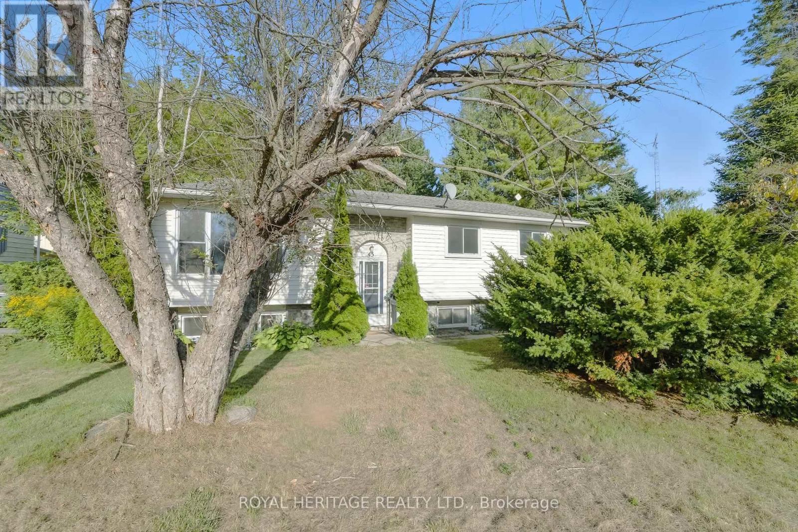 45 Maplewood Avenue, Brighton, Ontario K0K 1H0 - Photo 2 - X12498730