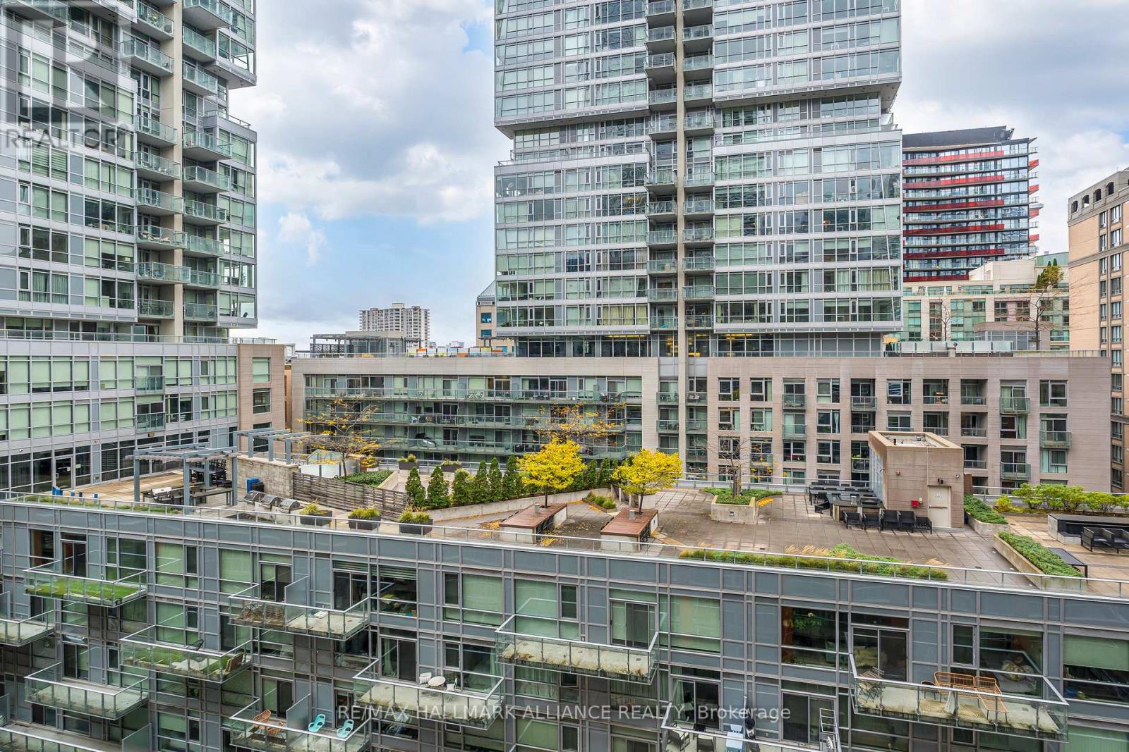 1015 - 21 Nelson Street, Toronto, Ontario  M5V 3H9 - Photo 22 - C12494956