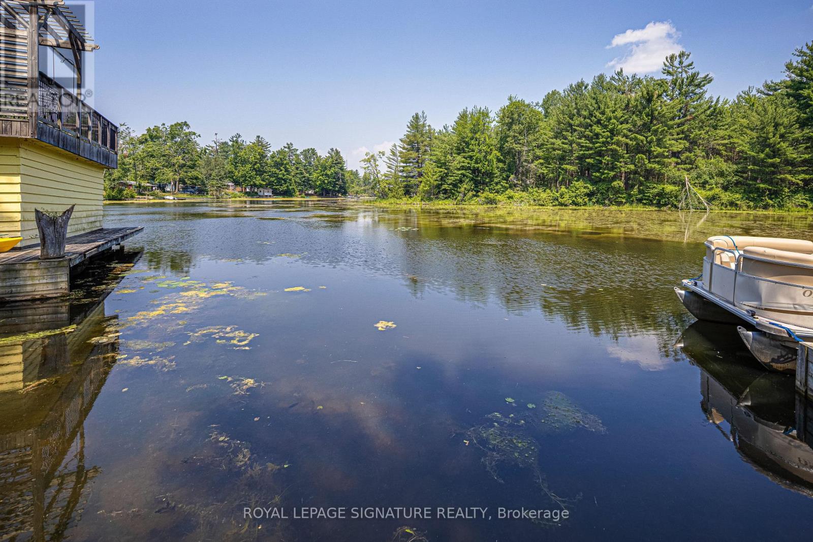 153 Stanley Road, Kawartha Lakes, Ontario  K0M 2T0 - Photo 10 - X12498714
