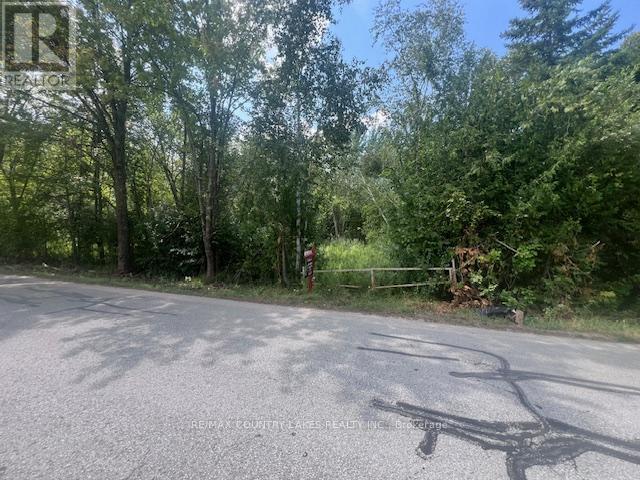 122-123 Riverview Beach Road, Georgina, Ontario  L0E 1N0 - Photo 10 - N12498774