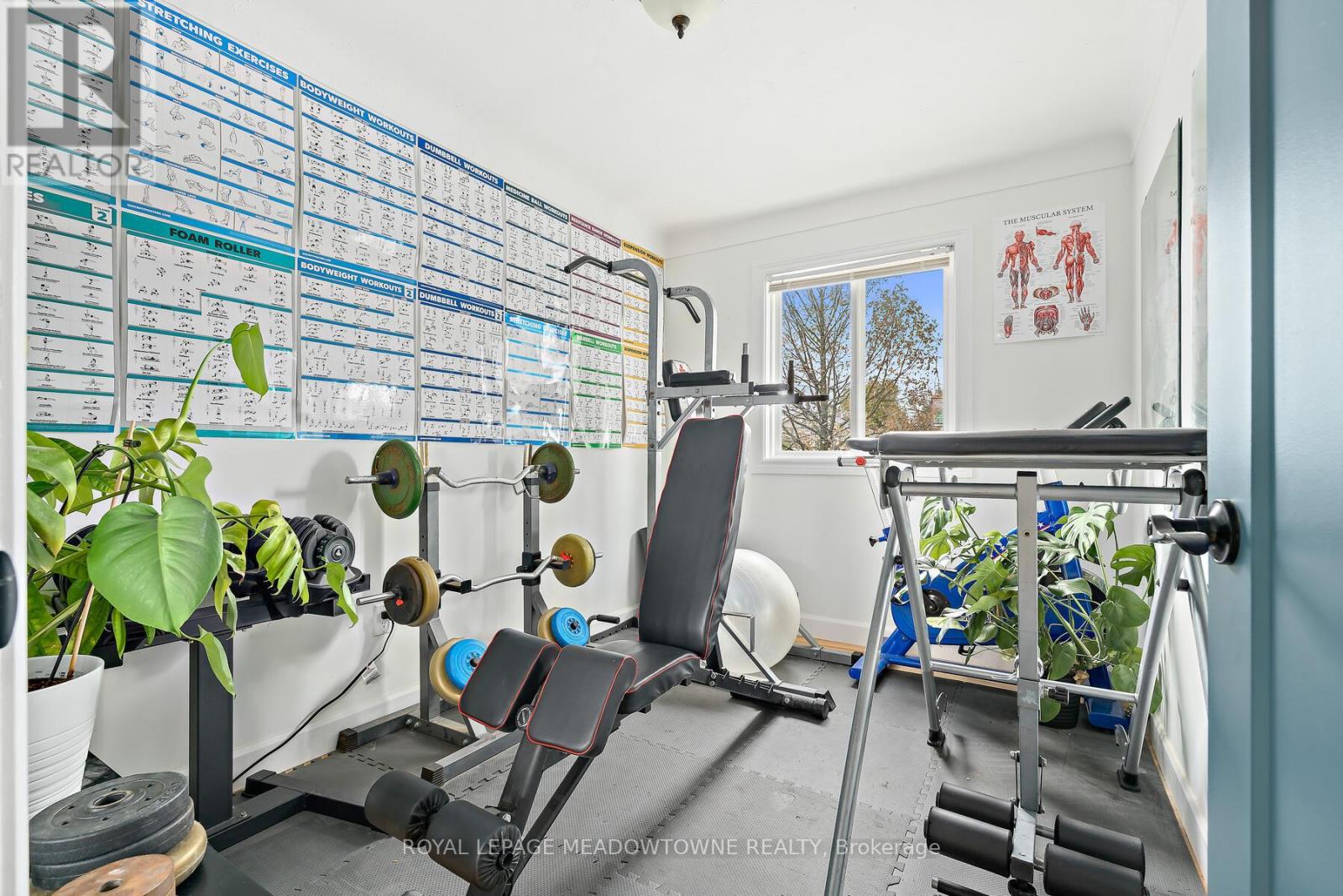 113 Elizabeth Drive, Halton Hills, Ontario  L7J 1B6 - Photo 25 - W12498888