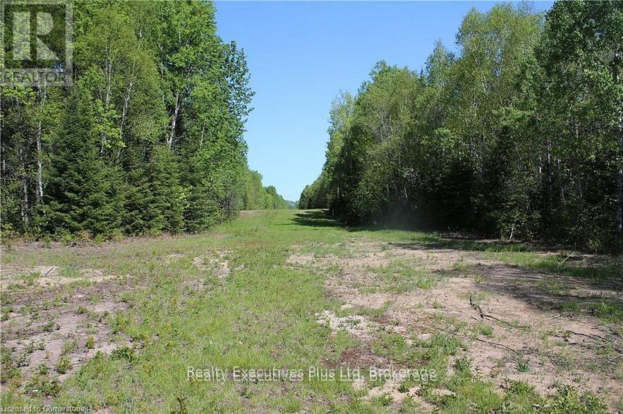 00 Pickerel & Jack Lake Road, Armour, Ontario  P0A 1C0 - Photo 10 - X12499128
