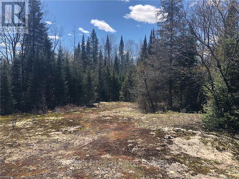 00 Pickerel & Jack Lake Road, Armour, Ontario  P0A 1C0 - Photo 11 - X12499128