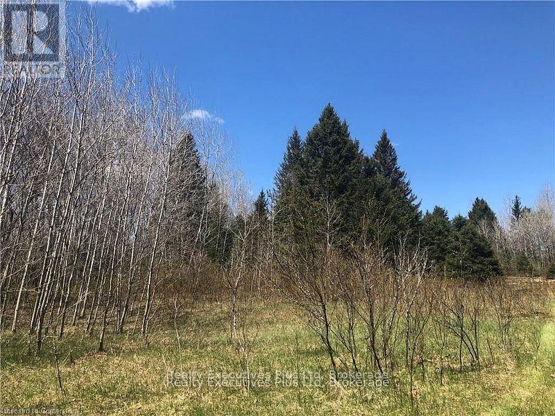 00 Pickerel & Jack Lake Road, Armour, Ontario  P0A 1C0 - Photo 12 - X12499128