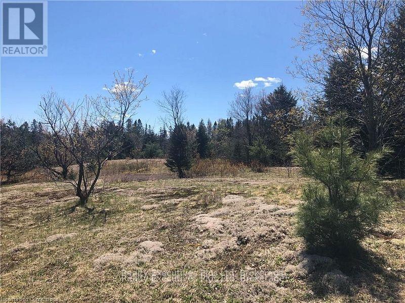 00 Pickerel & Jack Lake Road, Armour, Ontario  P0A 1C0 - Photo 13 - X12499128
