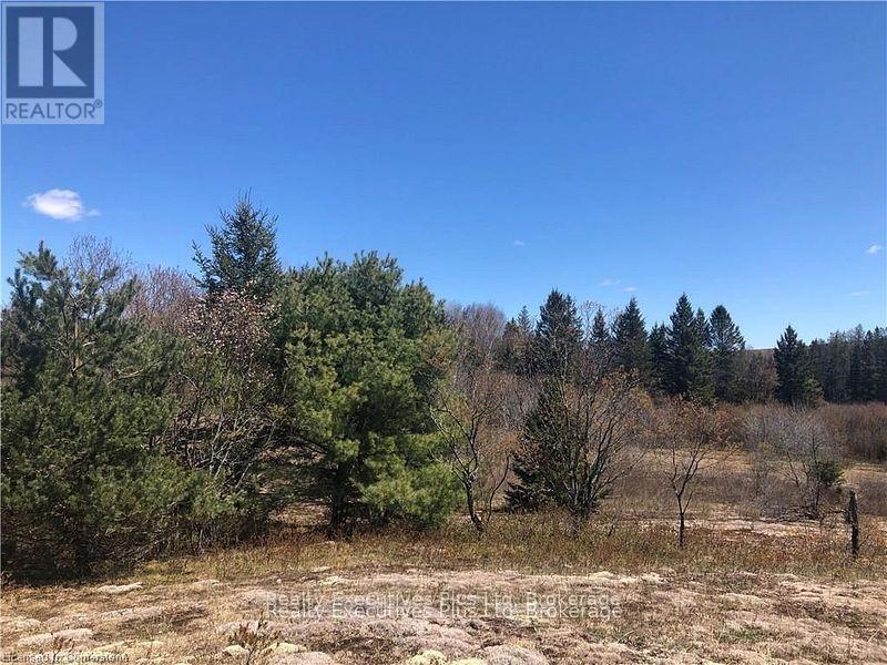 00 Pickerel & Jack Lake Road, Armour, Ontario  P0A 1C0 - Photo 14 - X12499128