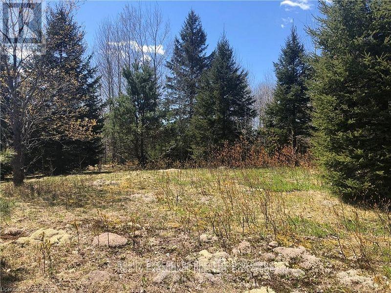 00 Pickerel & Jack Lake Road, Armour, Ontario  P0A 1C0 - Photo 15 - X12499128