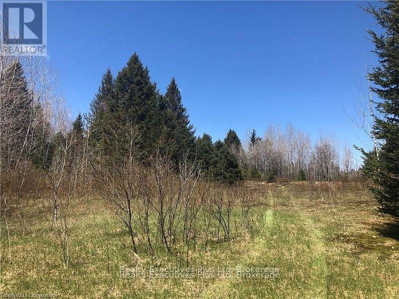 00 Pickerel & Jack Lake Road, Armour, Ontario  P0A 1C0 - Photo 16 - X12499128