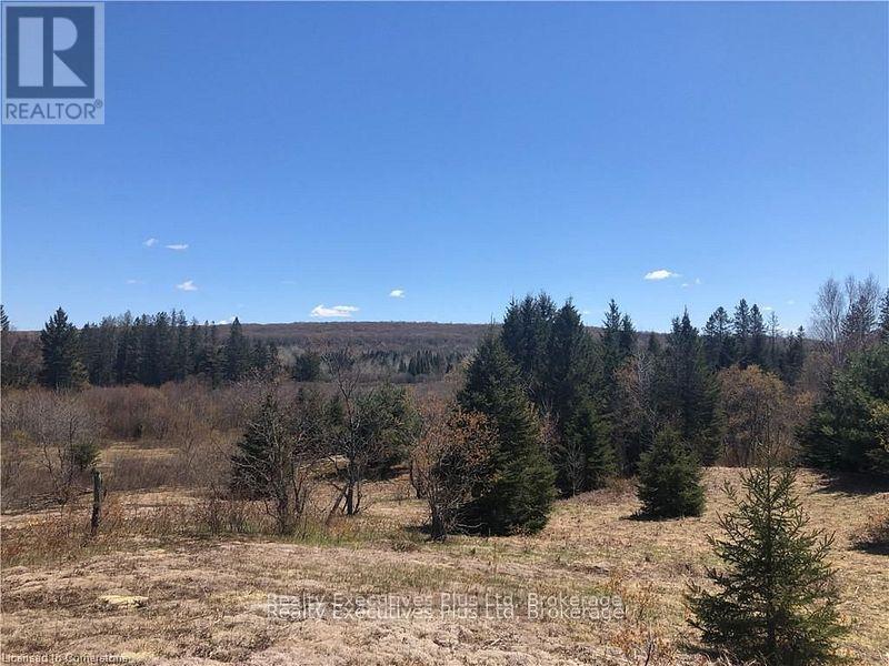 00 Pickerel & Jack Lake Road, Armour, Ontario  P0A 1C0 - Photo 17 - X12499128