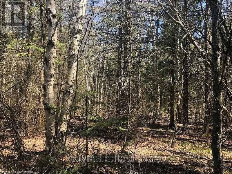 00 Pickerel & Jack Lake Road, Armour, Ontario  P0A 1C0 - Photo 20 - X12499128