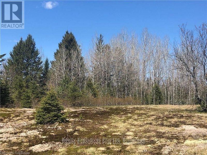 00 Pickerel & Jack Lake Road, Armour, Ontario  P0A 1C0 - Photo 21 - X12499128