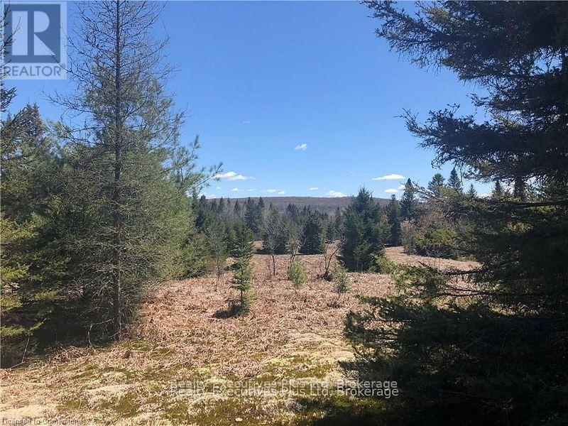 00 Pickerel & Jack Lake Road, Armour, Ontario  P0A 1C0 - Photo 22 - X12499128