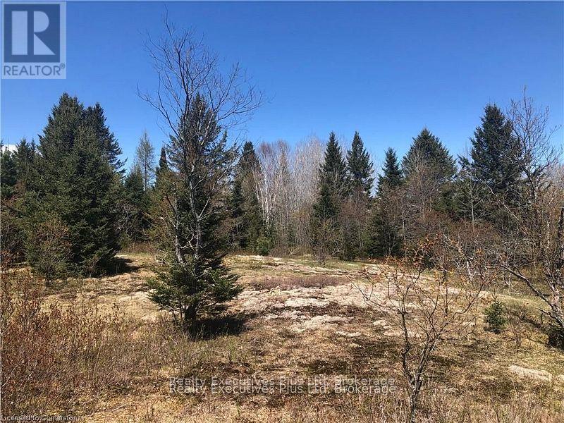 00 Pickerel & Jack Lake Road, Armour, Ontario  P0A 1C0 - Photo 25 - X12499128