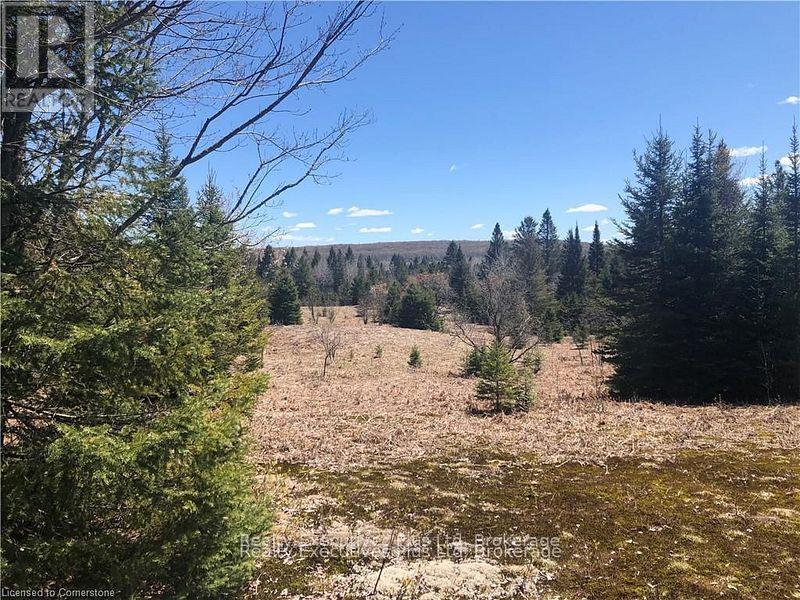 00 Pickerel & Jack Lake Road, Armour, Ontario  P0A 1C0 - Photo 28 - X12499128