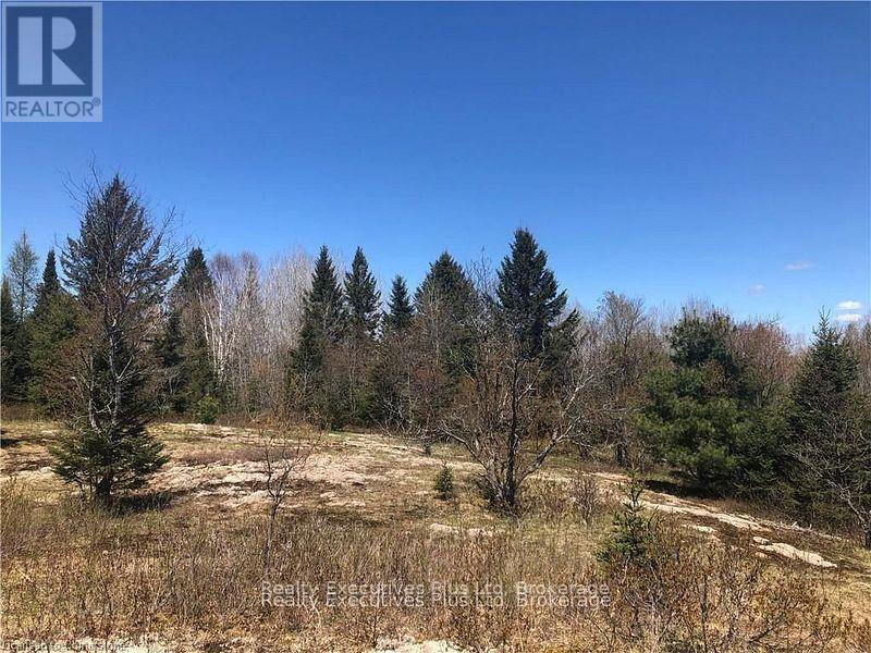 00 Pickerel & Jack Lake Road, Armour, Ontario  P0A 1C0 - Photo 29 - X12499128