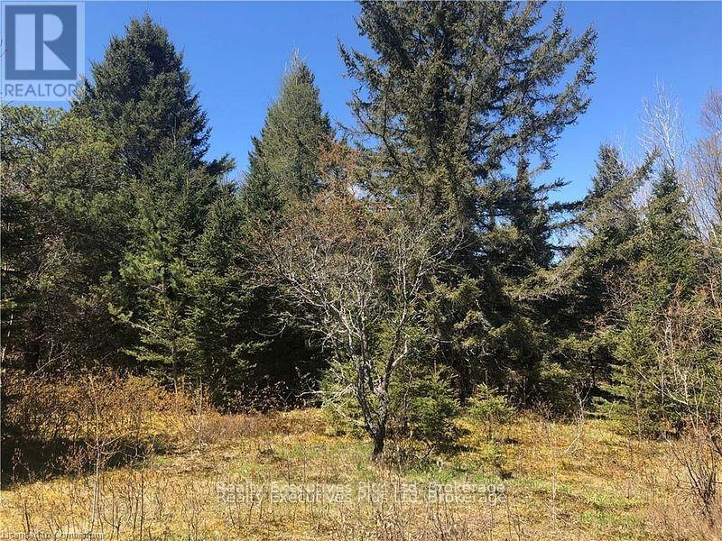 00 Pickerel & Jack Lake Road, Armour, Ontario  P0A 1C0 - Photo 30 - X12499128