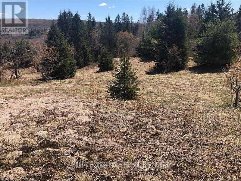 00 Pickerel & Jack Lake Road, Armour, Ontario  P0A 1C0 - Photo 31 - X12499128