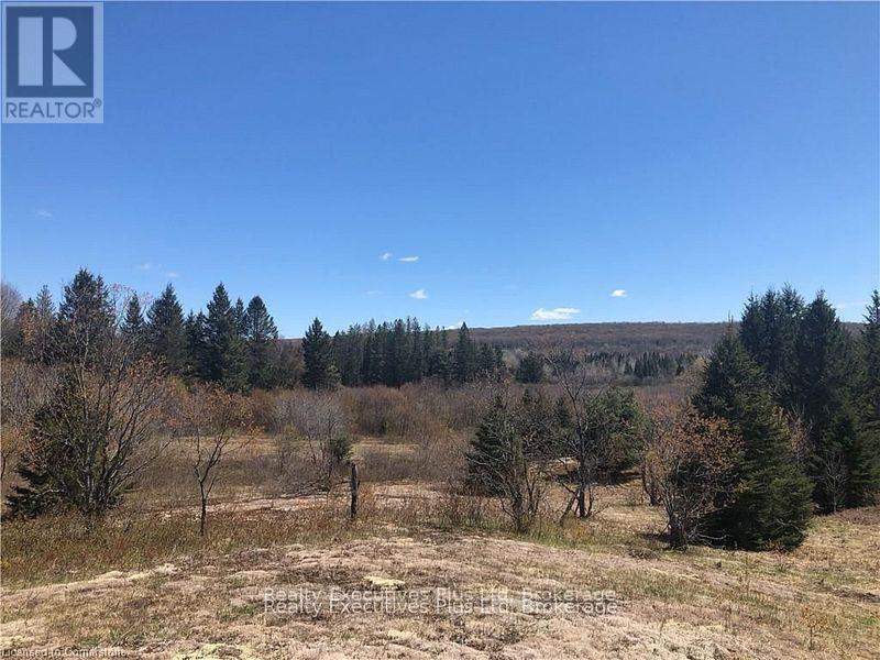 00 Pickerel & Jack Lake Road, Armour, Ontario  P0A 1C0 - Photo 8 - X12499128