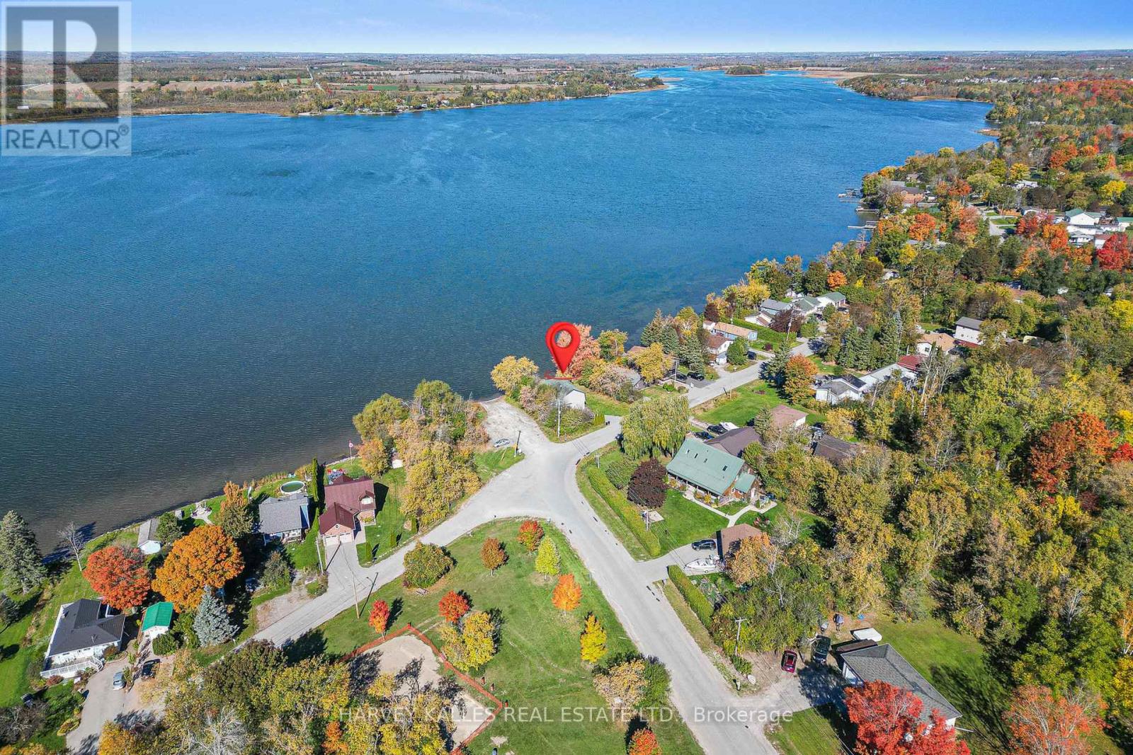 1 Mcgill Drive, Kawartha Lakes, Ontario  K9V 4R4 - Photo 3 - X12477938