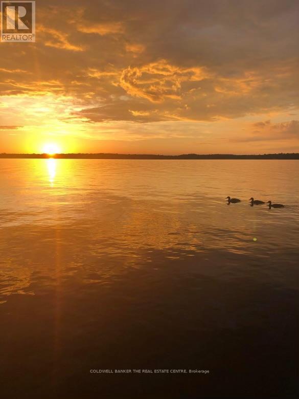 23 Cedar Dale Drive, Kawartha Lakes, Ontario  K0M 2B0 - Photo 6 - X12216916