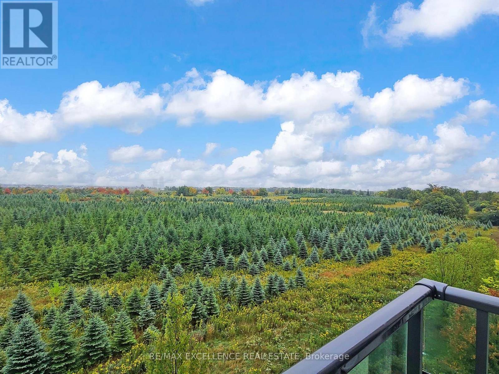 309 - 65 Yorkland Boulevard, Brampton (Goreway Drive Corridor), Ontario  L6P 4M5 - Photo 3 - W12499066