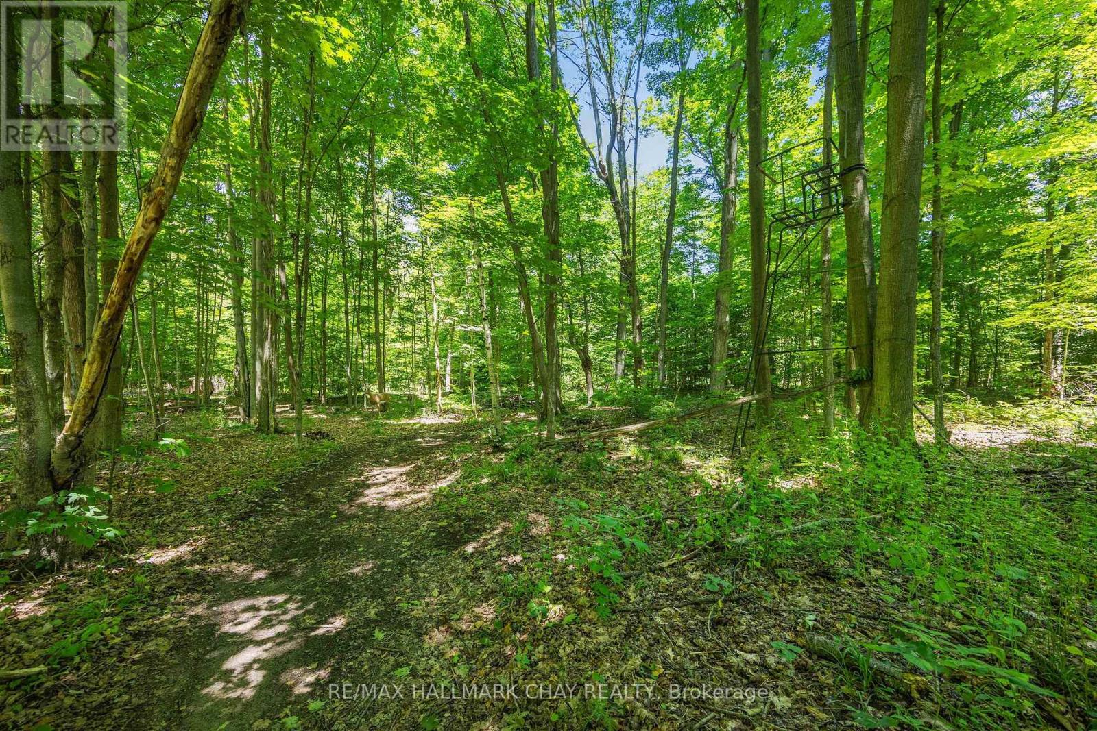 1256 Rainbow Valley Road W, Springwater, Ontario  L0L 2K0 - Photo 40 - S12499200