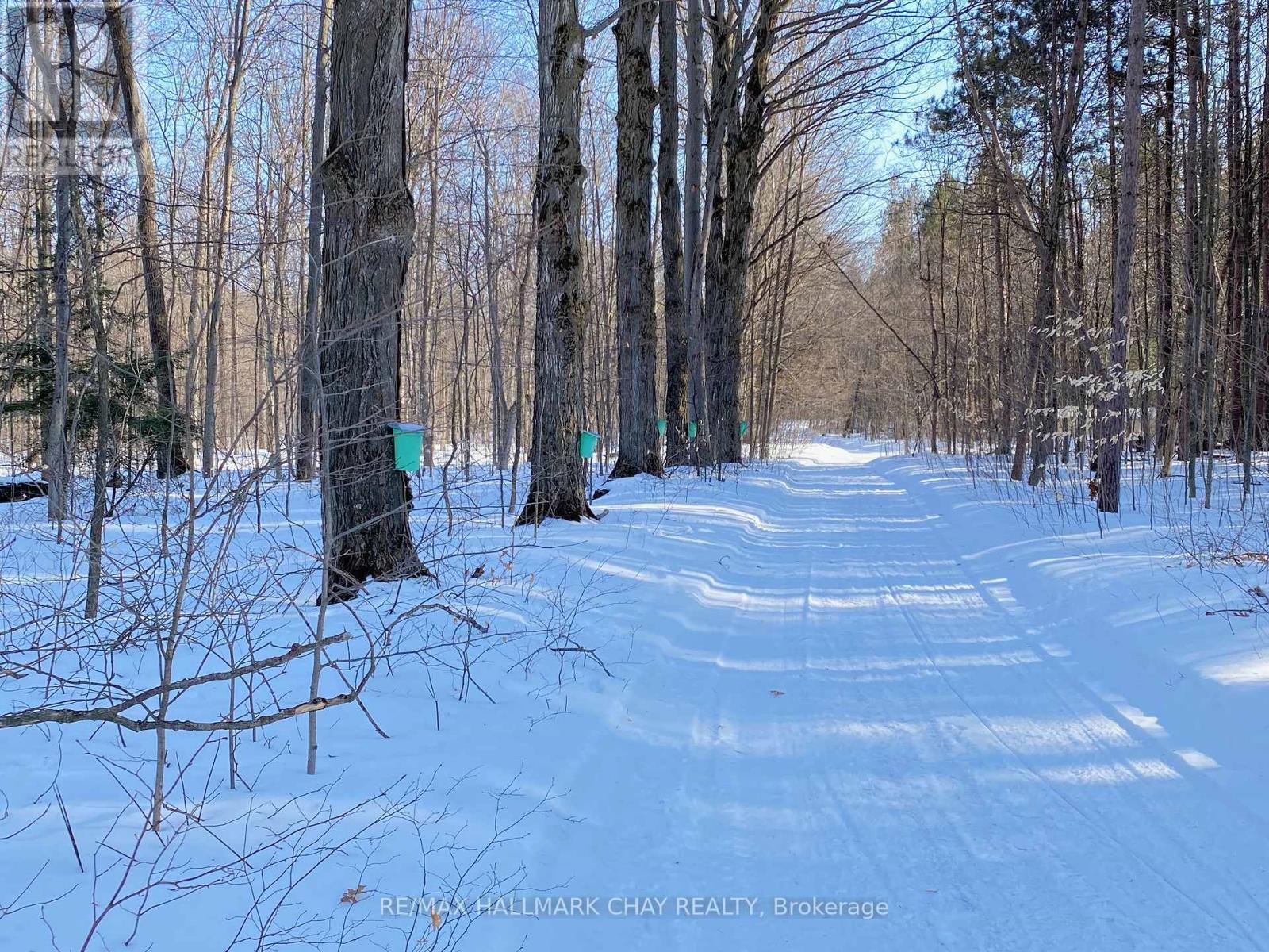 1256 Rainbow Valley Road W, Springwater, Ontario  L0L 2K0 - Photo 47 - S12499200