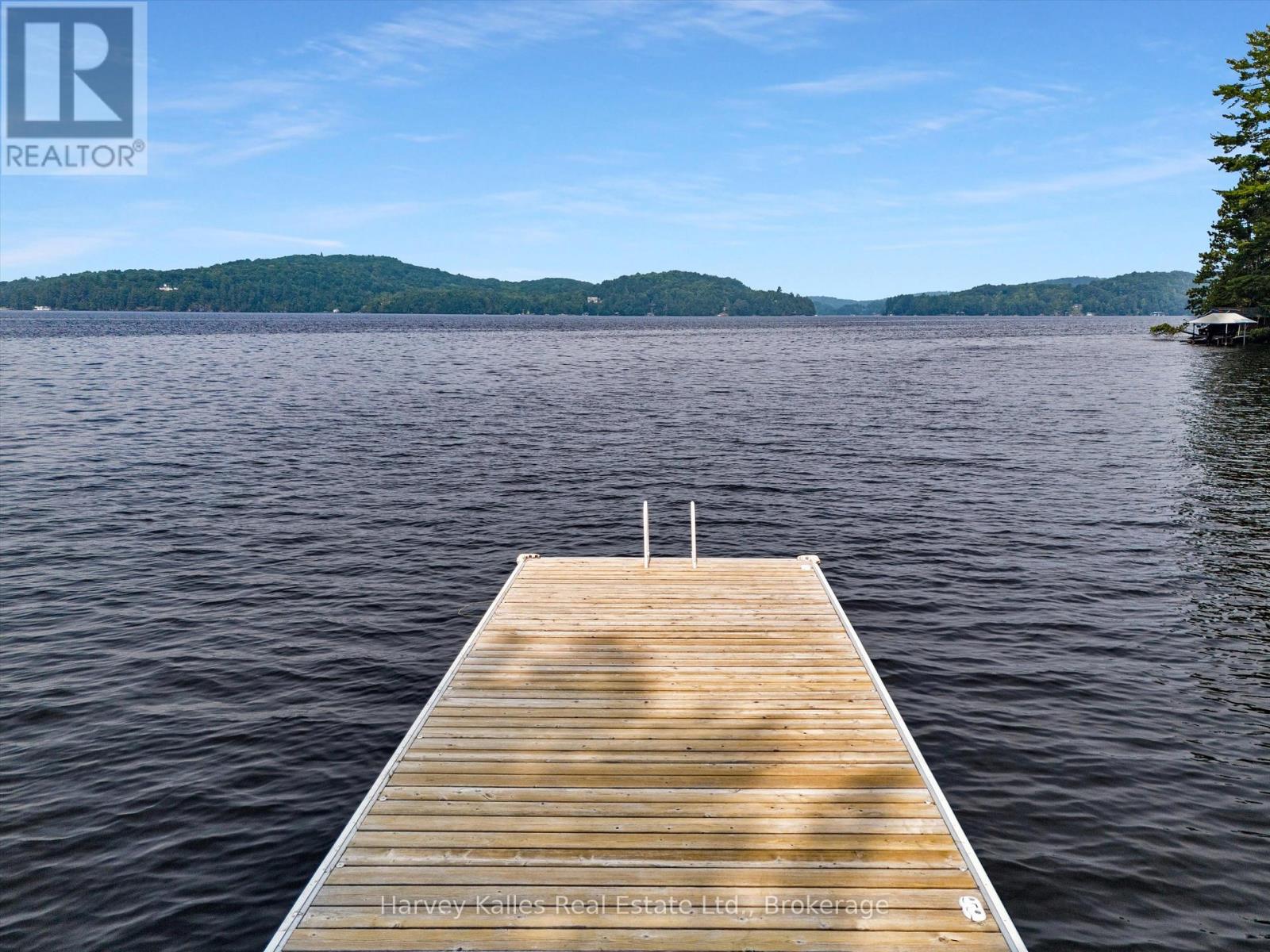 3-1030 Raven Hill Road, Lake Of Bays, Ontario  P0A 1H0 - Photo 7 - X12499230