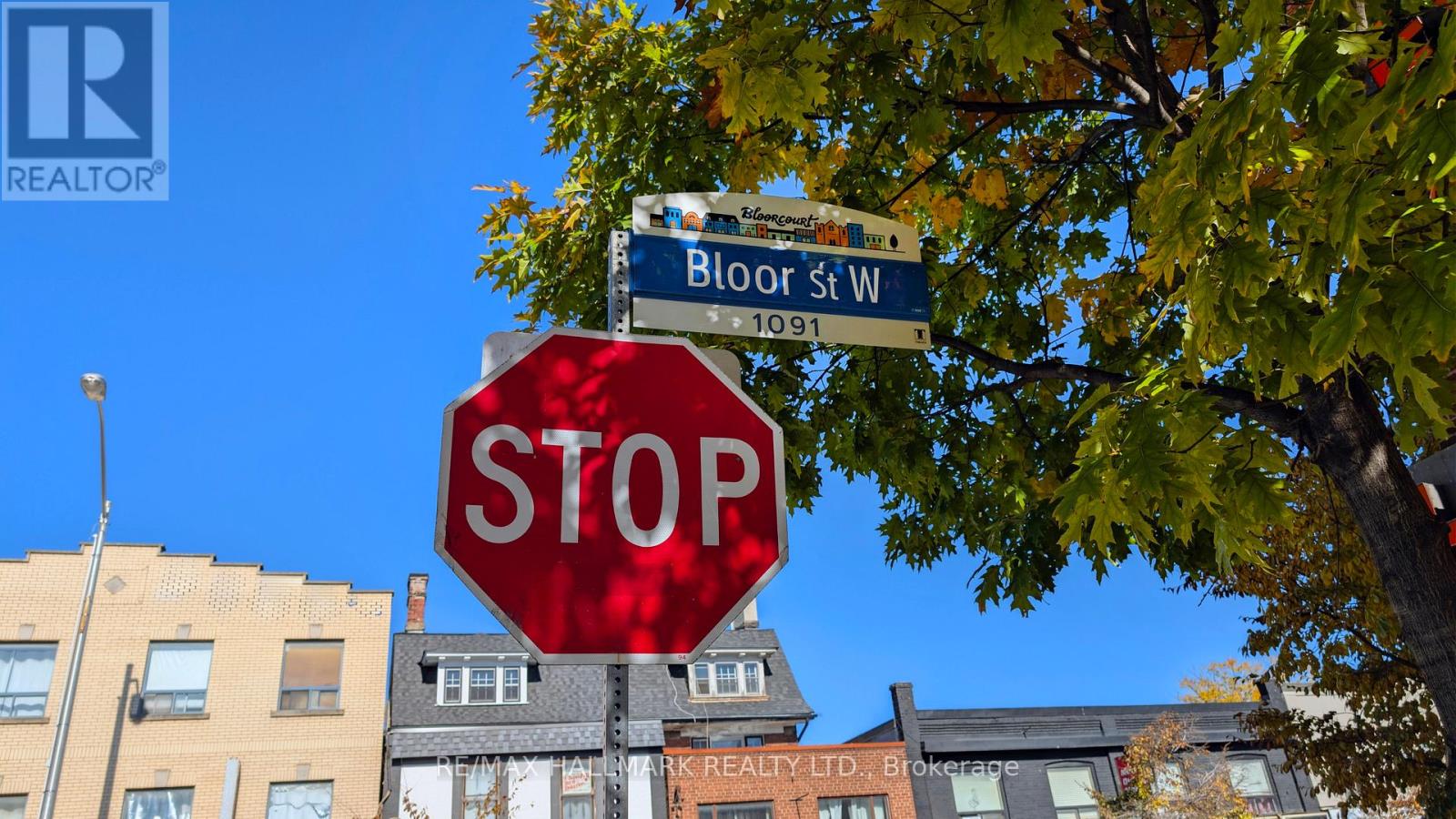 #1 BASEMENT - 519 GLADSTONE AVENUE, Toronto, Ontario