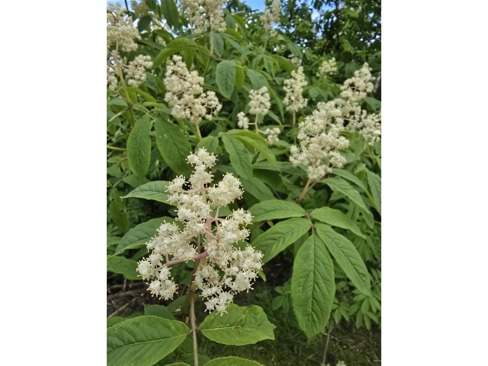 125 1840 160 Street, Surrey, British Columbia V4A 4X4 - Photo 8 - R3060978